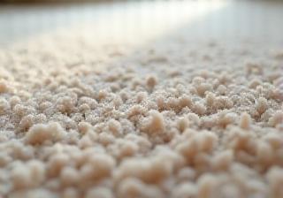 Clean, plush carpet with visible fibers.